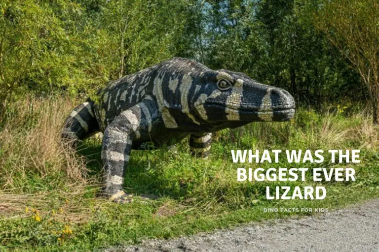 The Biggest  Ever Lizard : The Megalania