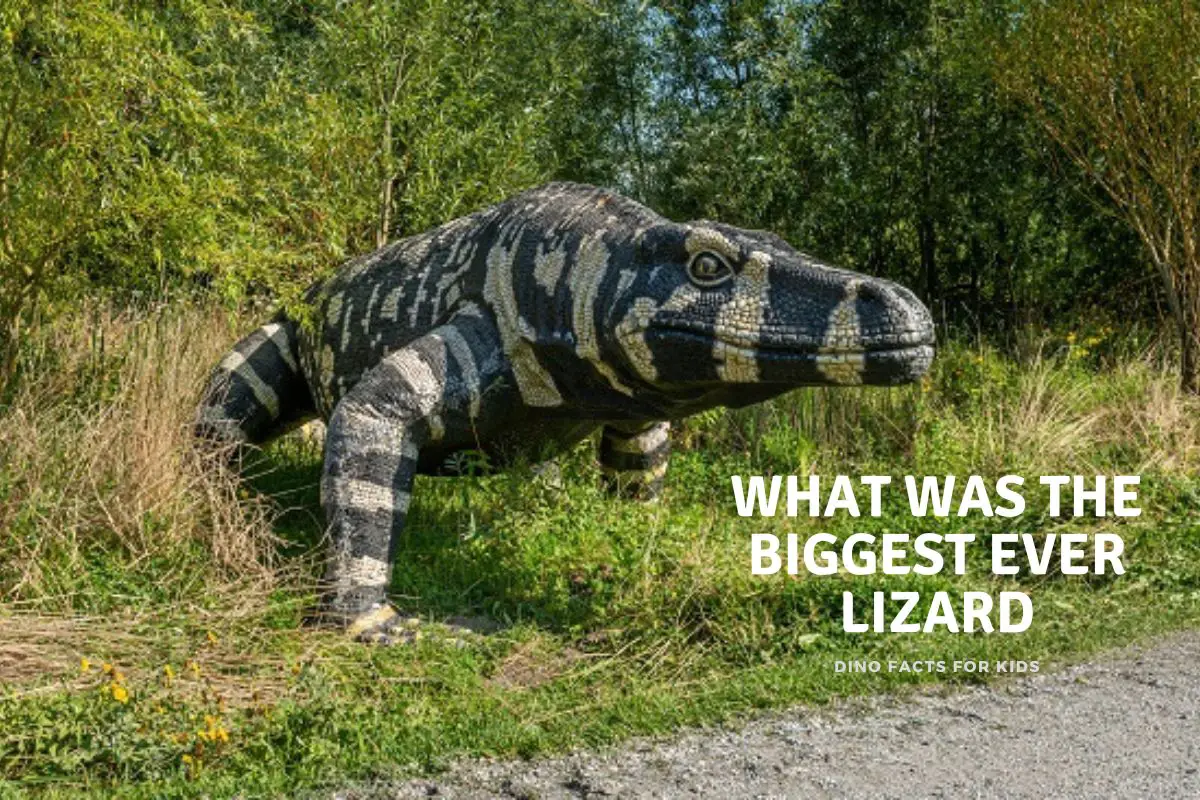 What was the biggest ever Lizard