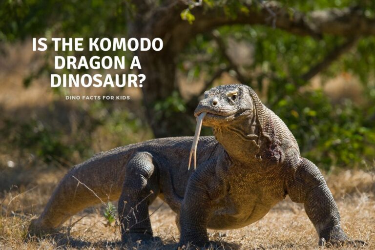 Is the Komodo Dragon a Dinosaur?