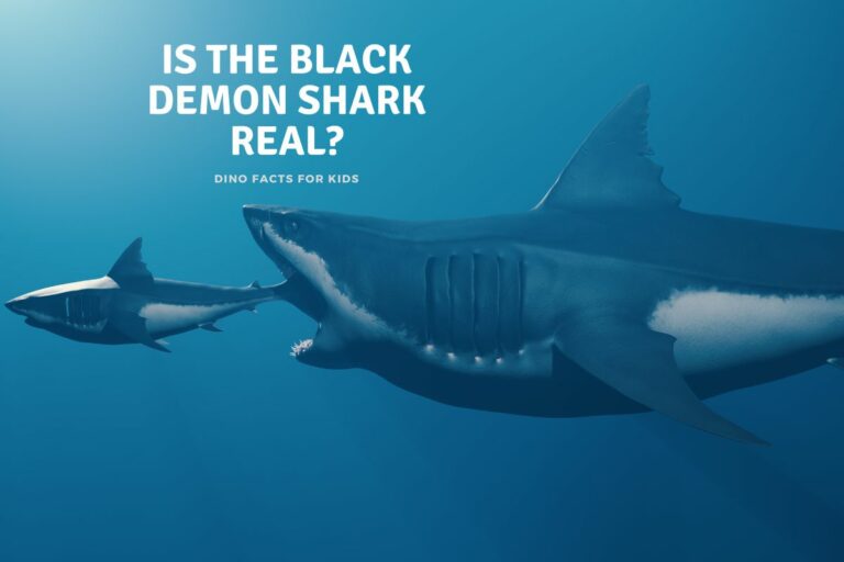 Is the Black Demon Shark Real?