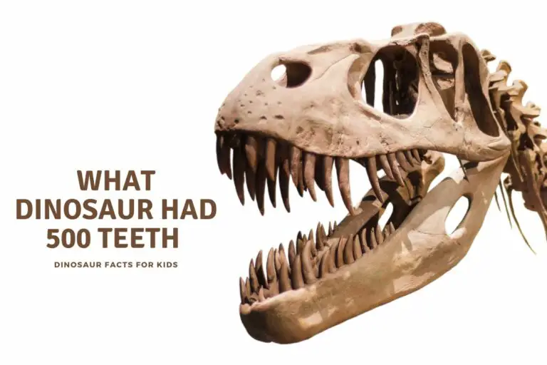 What Dinosaur Had 500 Teeth