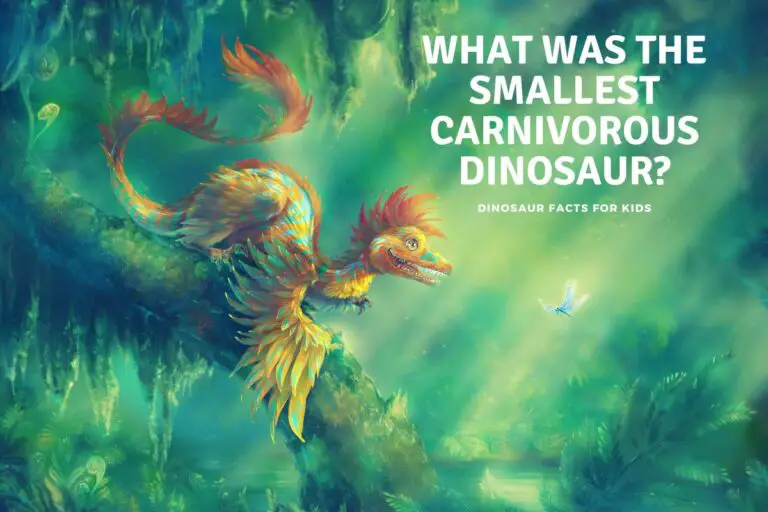 What Was the Smallest Carnivorous Dinosaur?