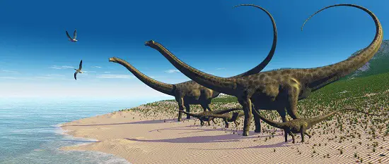 diplodocus long neck dinosaur
