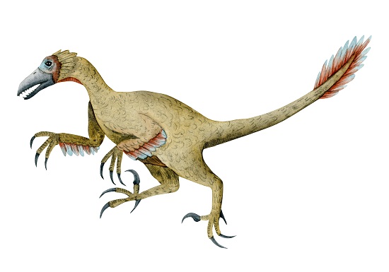 mahakala smallest carnivore dinosaur