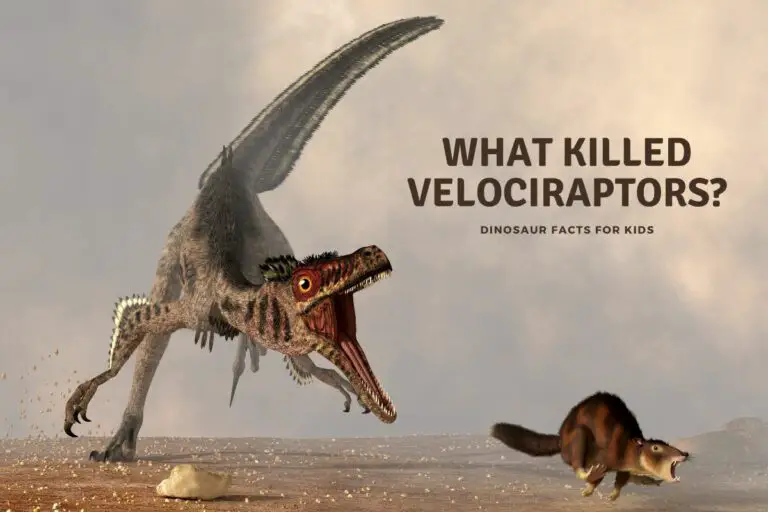 What Killed Velociraptors?
