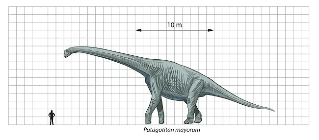 Patagotitan long neck dinosaur