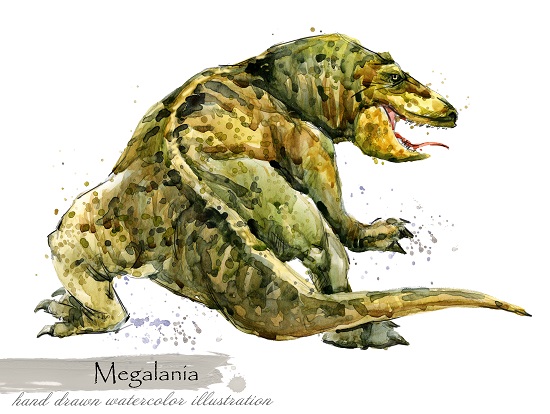 megalania the biggest ever lizard