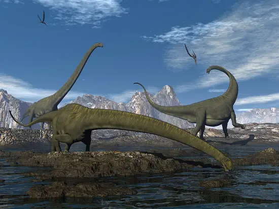 Mamenchisaurus, long neck dinosaur