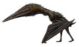 Flying dinosaurs All pterosaur species A