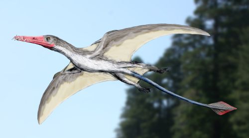 Flying Dinosaur Facts: Pterosaur Facts