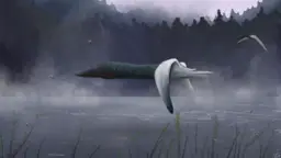 Flying dinosaurs - all pterosaur species A
