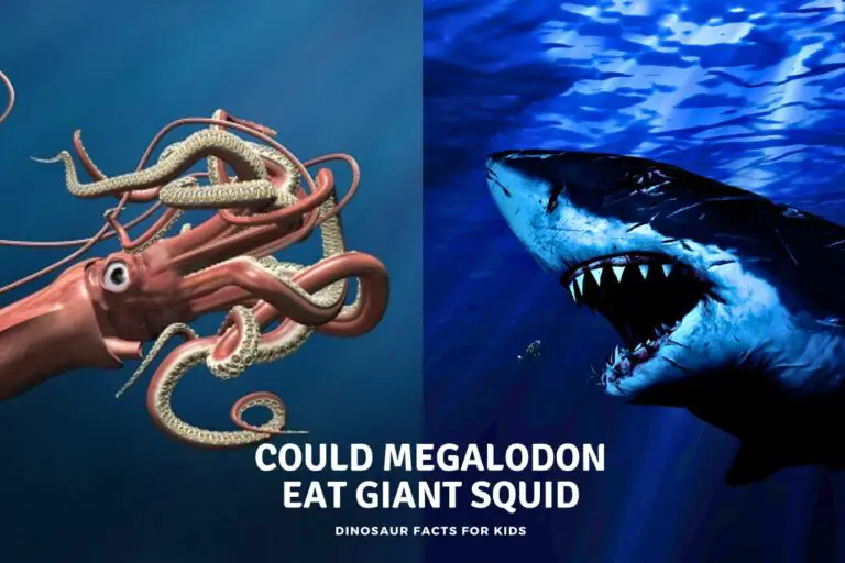Did Megalodon eat Giant Squid