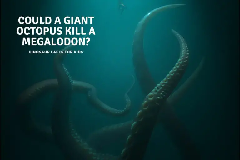 Could a Giant Octopus kill a Megalodon? Giant Octopus Vs. Meg
