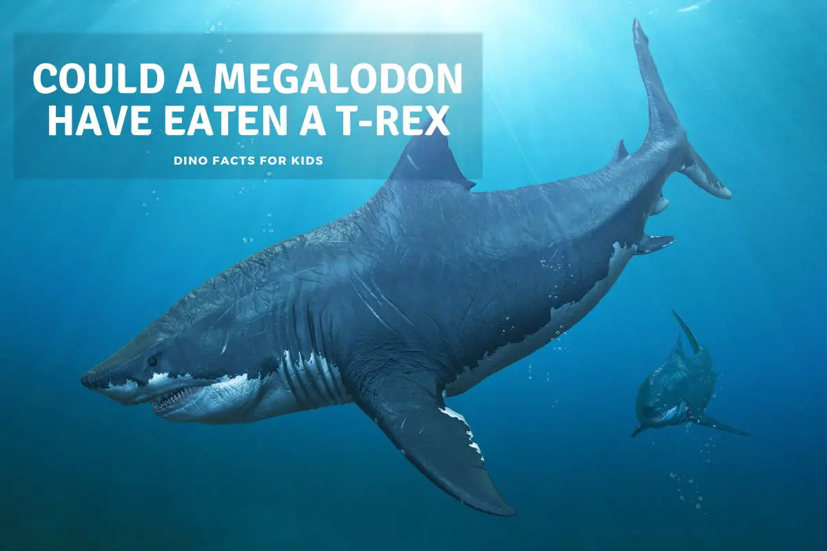Could a Megalodon have eaten a T-Rex