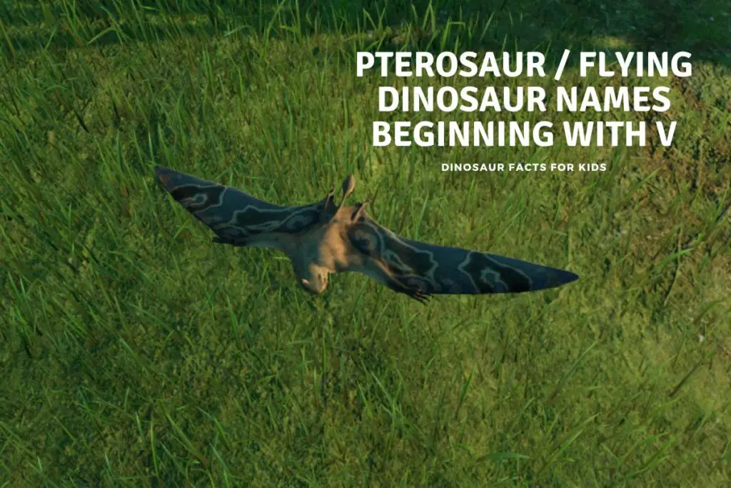Flying Dinosaur Facts - 59 Pterosaur Facts! - Dinosaur Facts For Kids