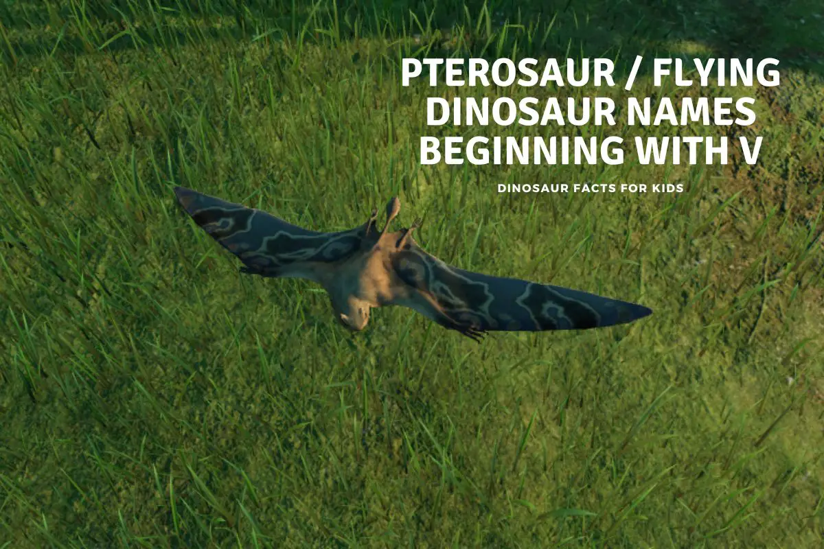 Flying Dinosaur pterosaur Names beginning with V