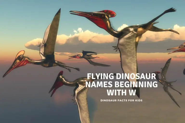 Flying Dinosaur Names beginning with W