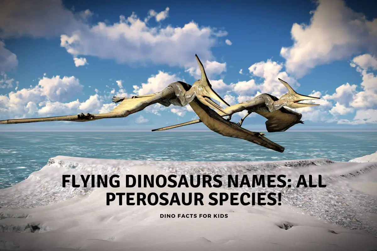Flying dinosaur Names All Pterosaur Species