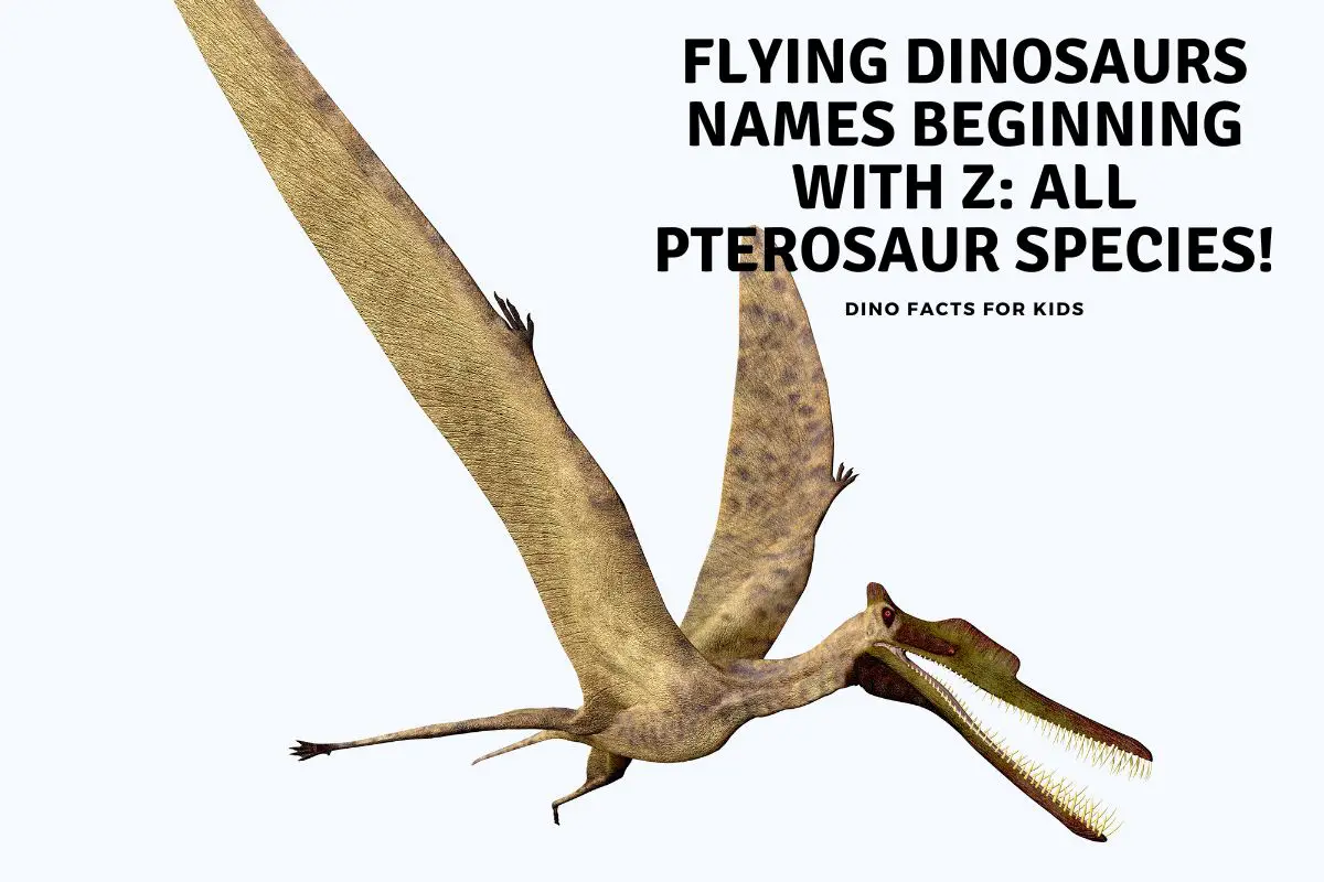 Flying dinosaurs beginning with Z