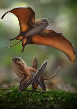 Flying Dinosaur Facts: Pterosaur Facts