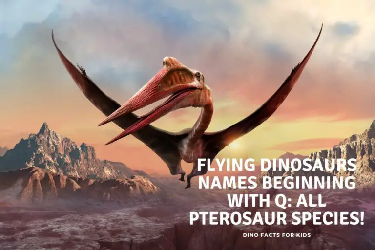 Flying Dinosaur Names beginning with Q