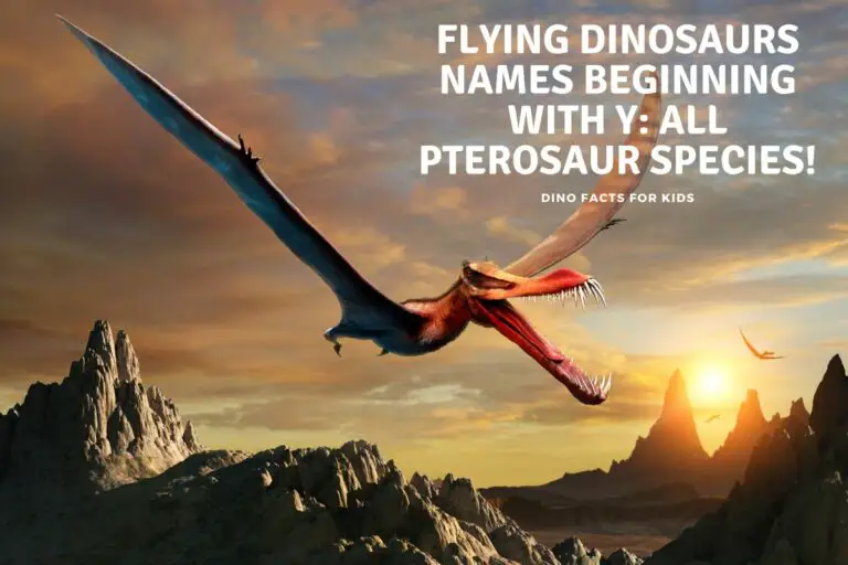 Flying Dinosaur  names beginning  with the   letter   Y