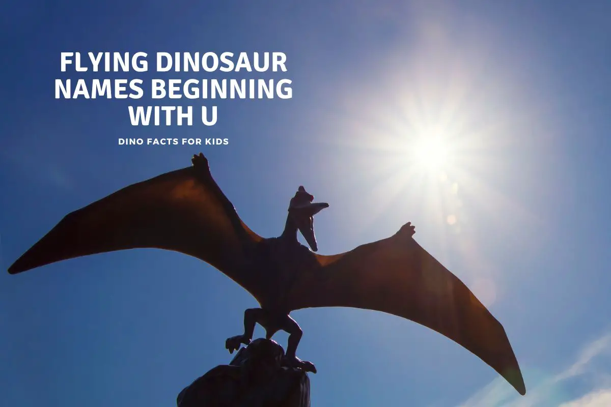 Flying Dinosaur Names beginning with U
