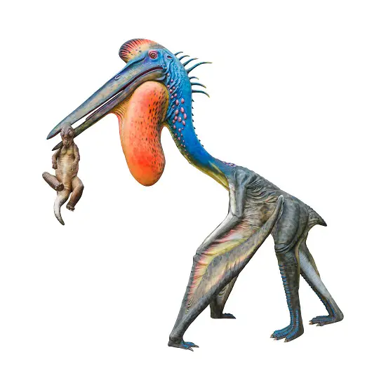 Flying Dinosaur Facts: Pterosaur Facts