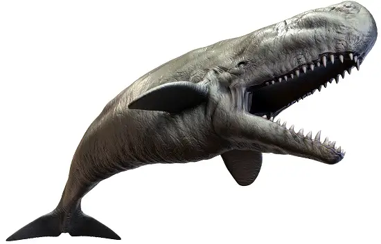 Could a Whale eat a Megalodon: Livyatan Vs. Megalodon