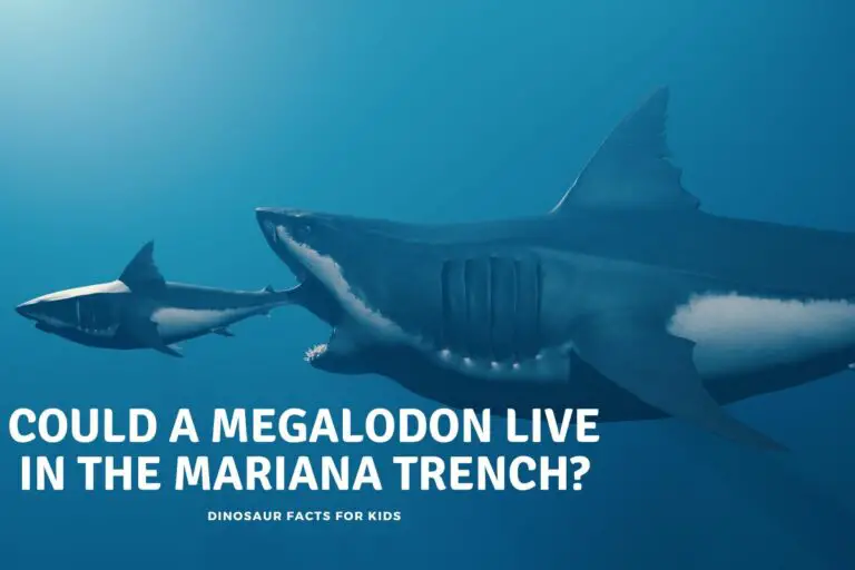 Could a Megalodon live In The Mariana Trench?