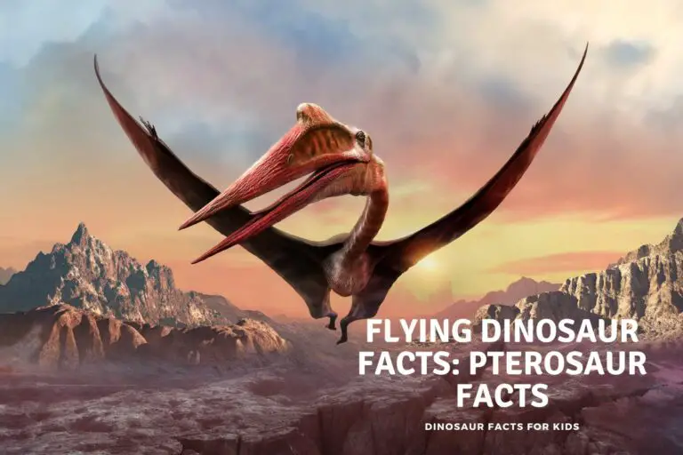 Flying Dinosaur Facts – 59 Pterosaur   Facts!