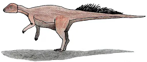 cutest dinosaurs Micropachycephalosaurus
