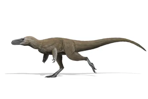 cutest dinosaurs  11: Moros Intrepidus