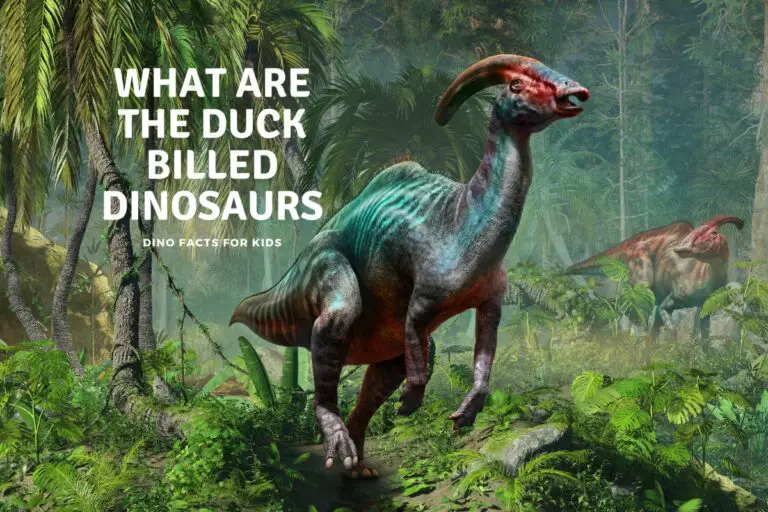 Duck Billed Dinosaurs