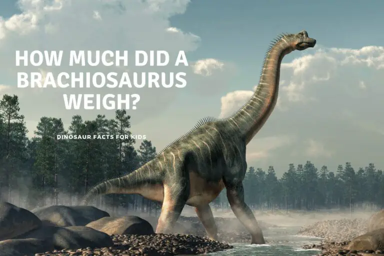 How Much Did A Brachiosaurus Weigh?