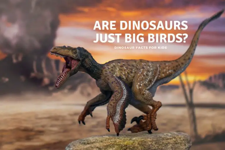 Are Dinosaurs Just Big Birds?