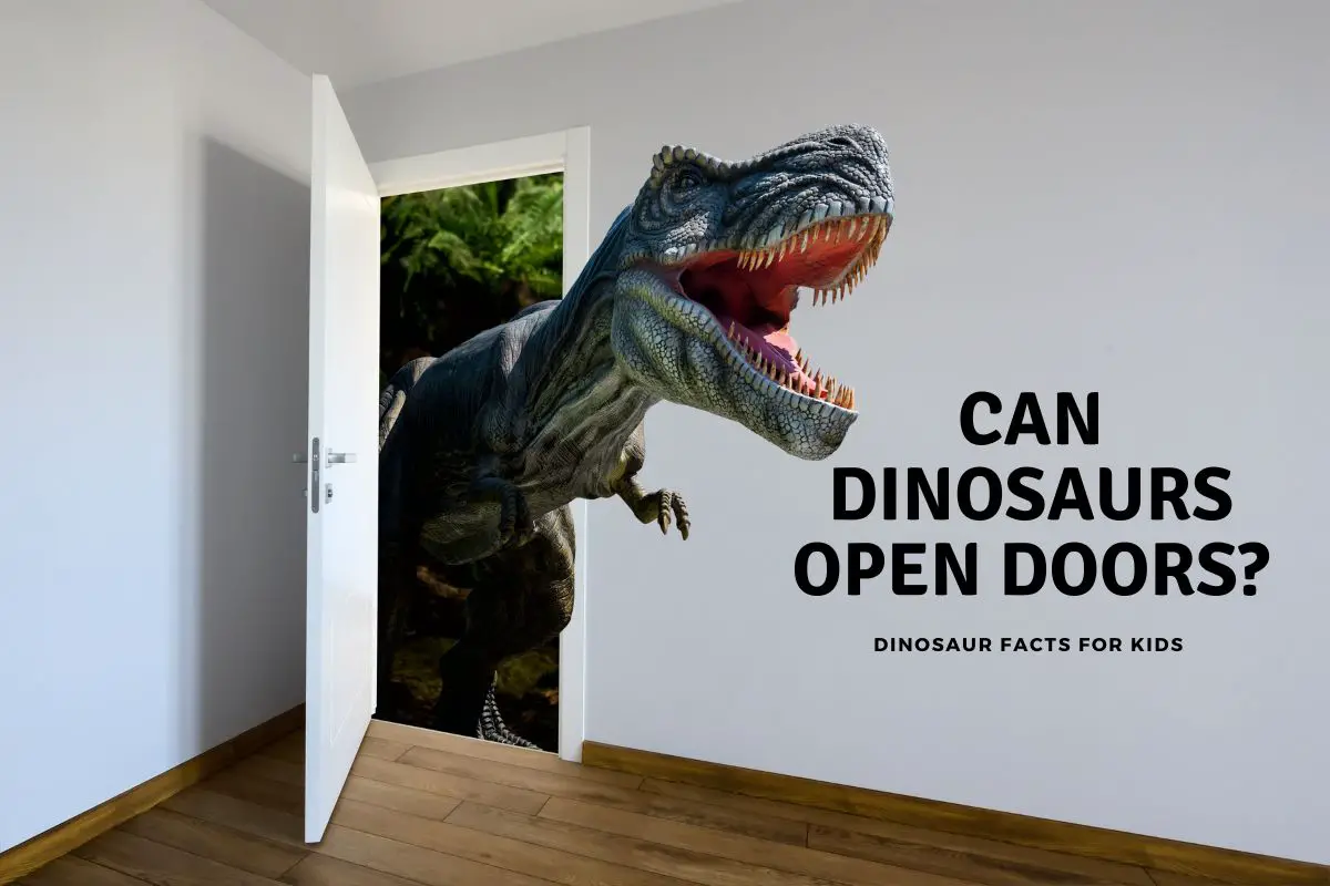 Can Dinosaurs Open Doors? Dinosaur Facts For Kids