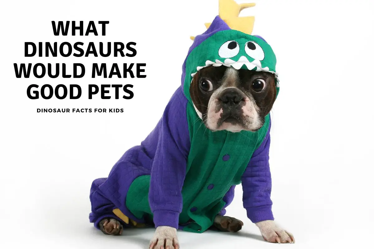 What Dinosaurs Would Make Good Pets Dinosaur Facts For Kids