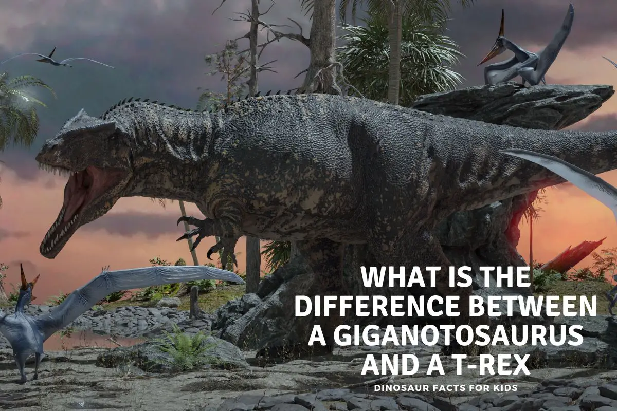 What Is The Difference Between A Giganotosaurus And A T-Rex - Dinosaur ...