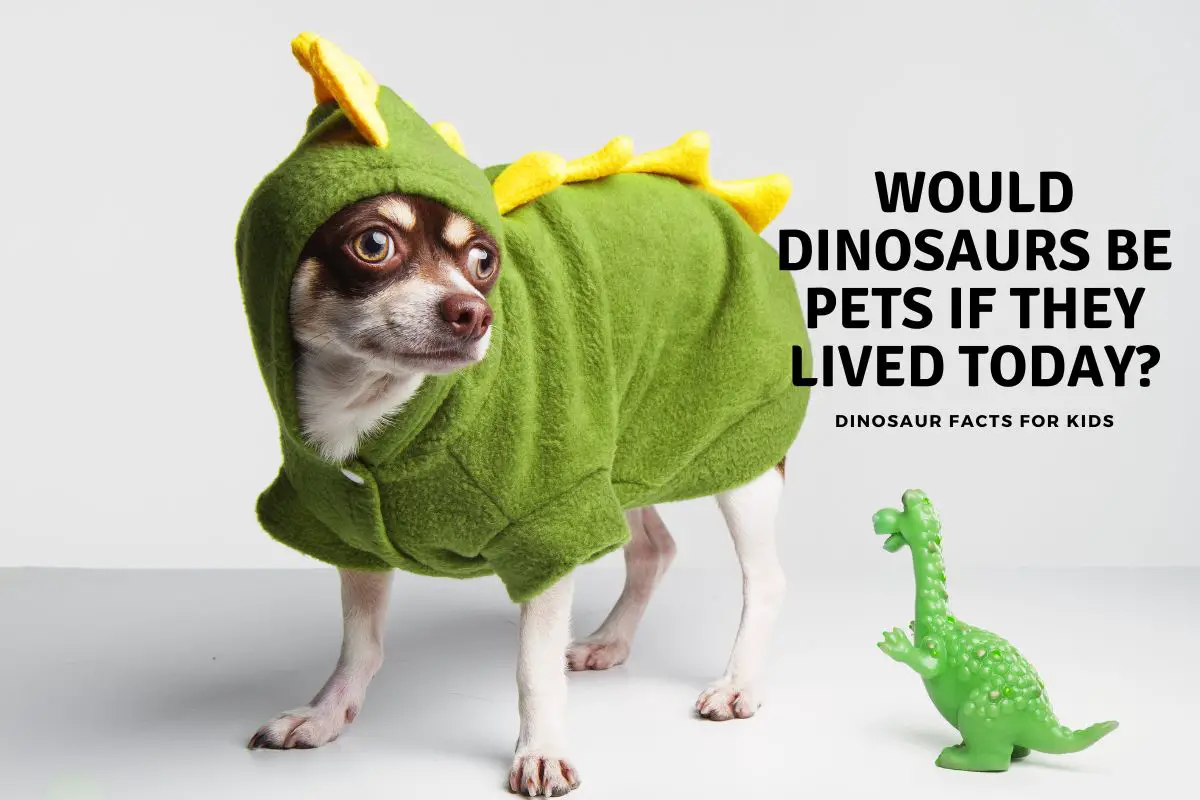 Would Dinosaurs Be Pets If They Lived Today? Dinosaur Facts For Kids