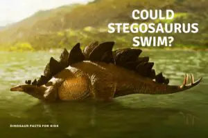 could stegosaurus swim