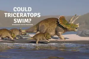 could triceratops swim