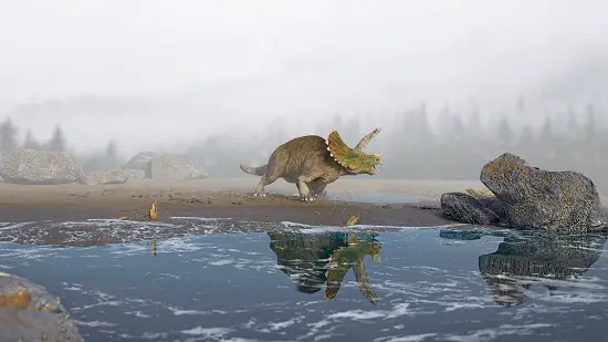 could triceratops swim

