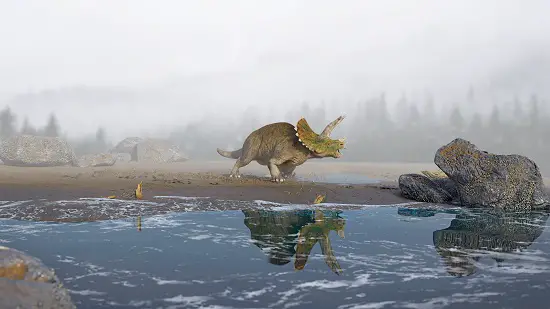 how much did triceratops eat