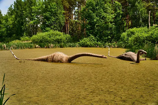could sauropods swim
