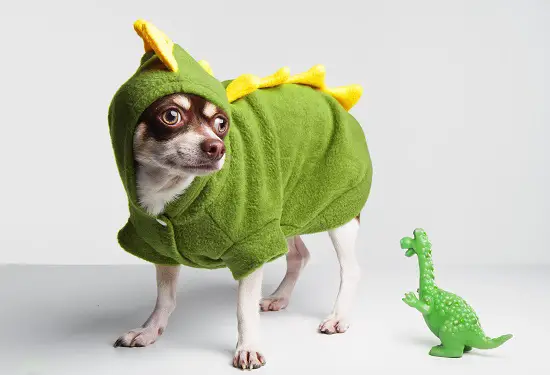 What dinosaurs Would make good pets