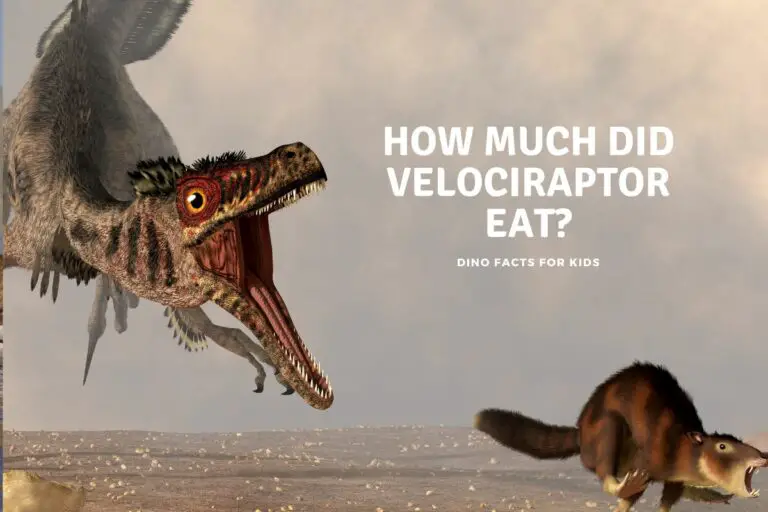 How Much Did Velociraptor Eat?