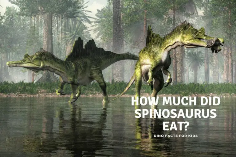 How Much Did A Spinosaurus Eat?