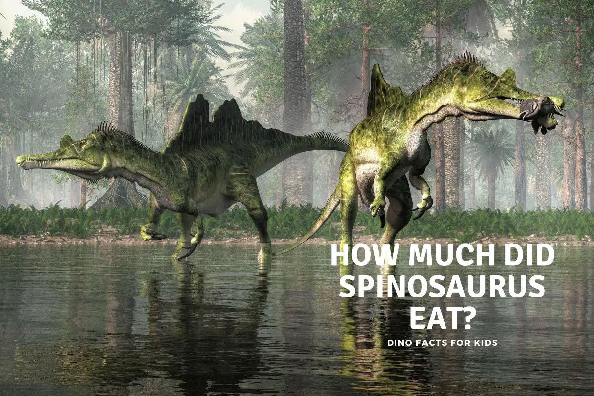 Spinosaurus Eat Archives Dinosaur Facts For Kids - vrogue.co