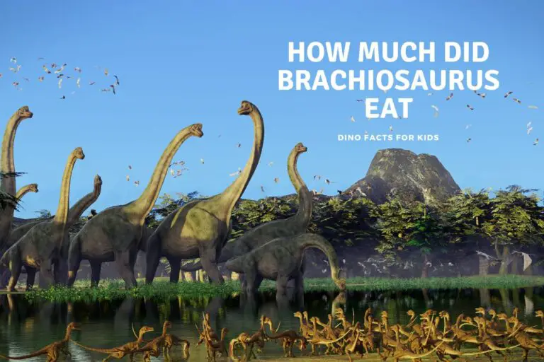 How Much Did Brachiosaurus Eat